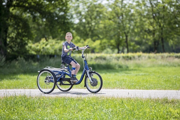 Kids electric online trike