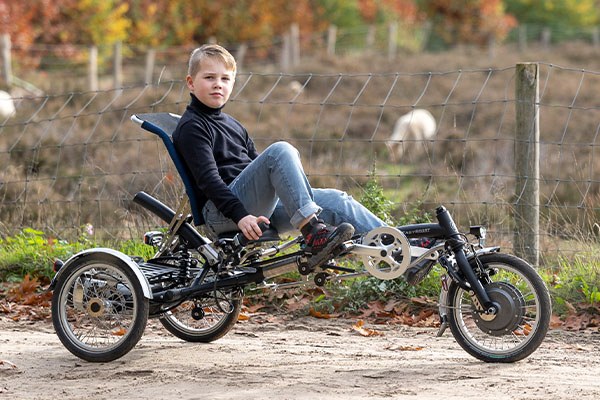 3 wheel recumbent hot sale bikes for adults