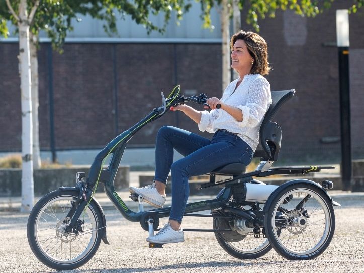 Large tricycle for adults Van Raam