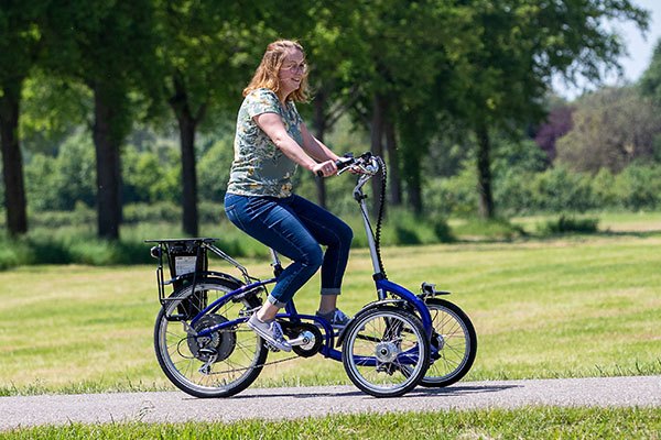 Tricycles pour adults Van Raam Van Raam