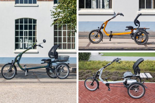 10 most sold options of the Van Raam Easy Rider tricycle Van Raam