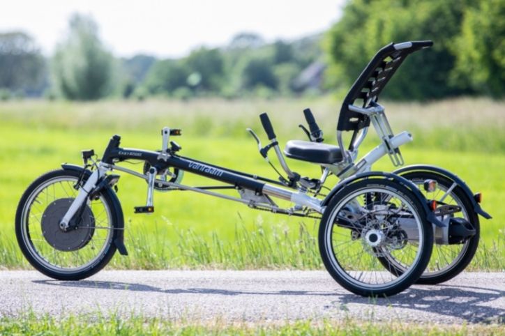 Easy Sport Sport tricycle for adults Van Raam