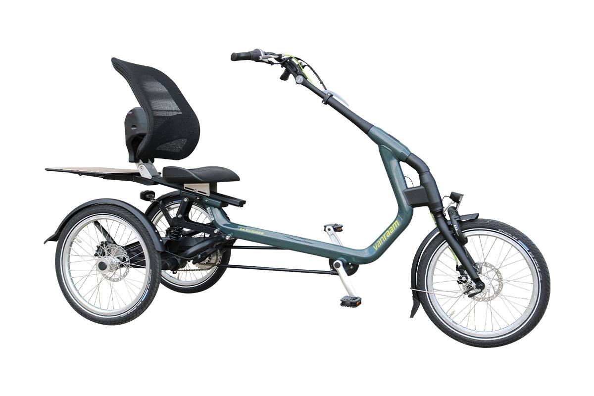 Cruiser tricycle sale