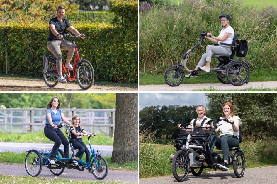 Bikes for disabled adults online