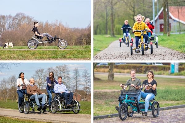 Special Needs Tricycle  Electric Bikes for Disabled Adults