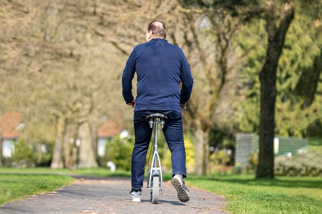 van raam walking support bike