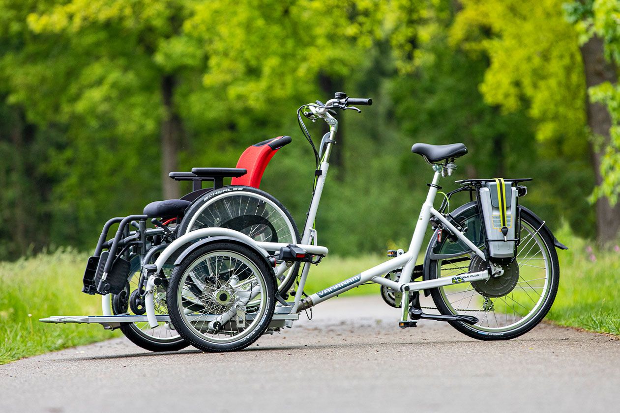 VeloPlus Wheelchair transportbike by Van Raam Van Raam