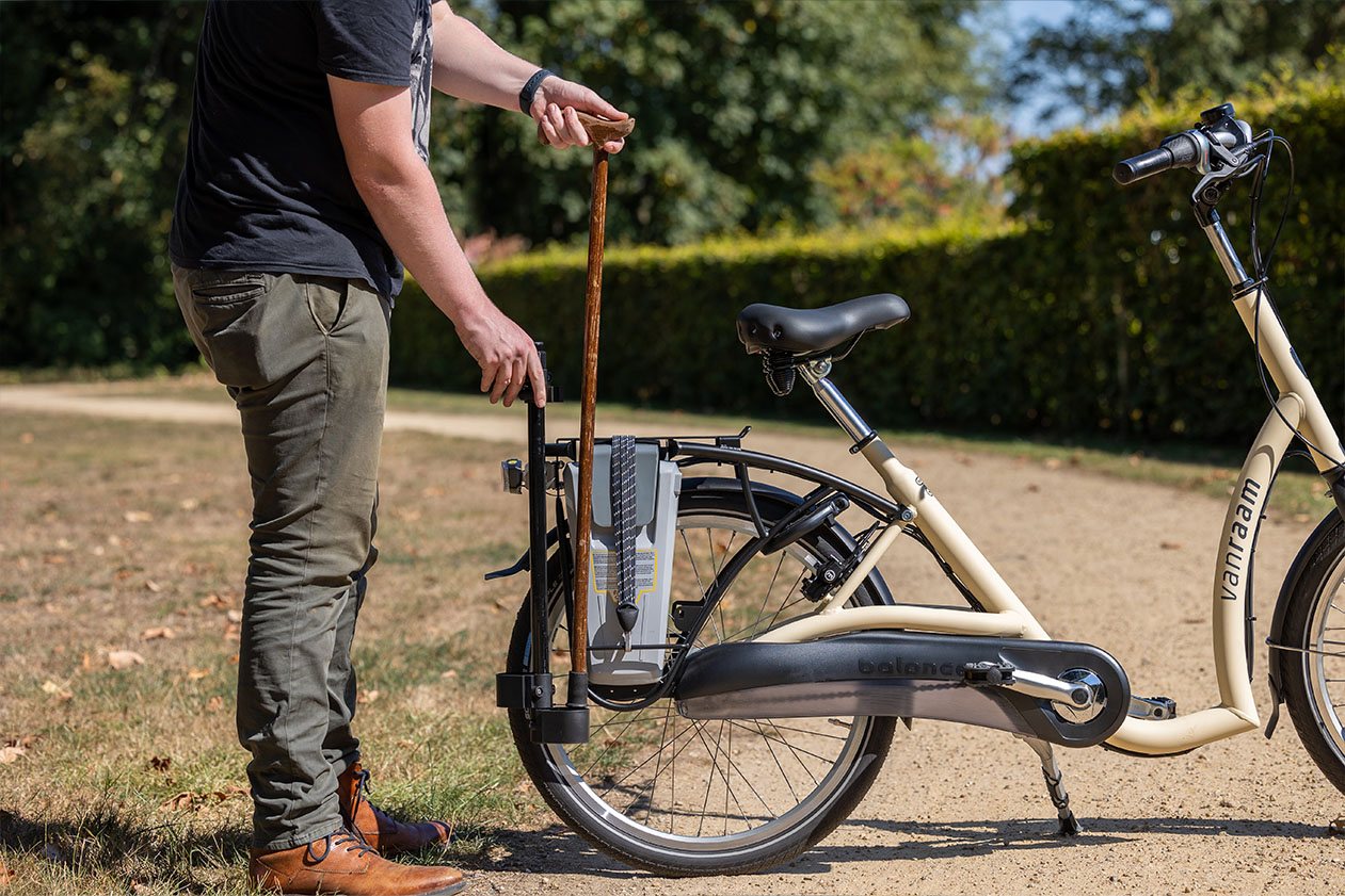 Adult 2024 balance bike