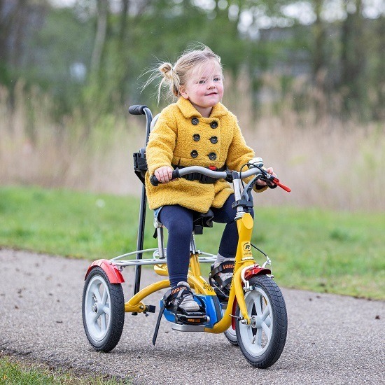 Therapeutic tricycle sales