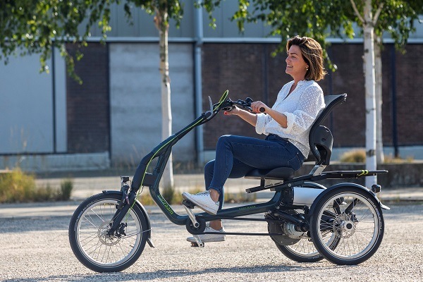 Disabled store electric tricycle