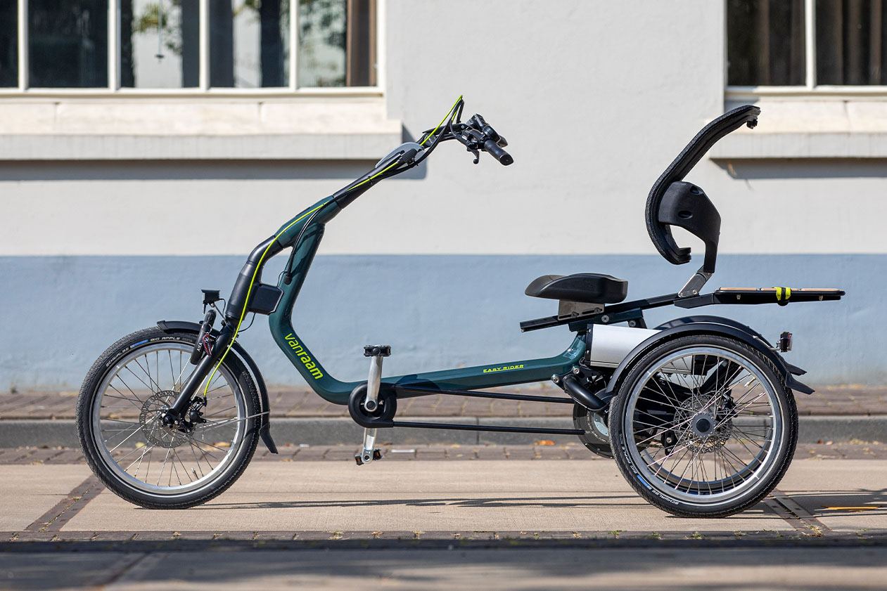 Van raam electric online trike