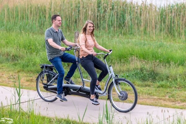 Electric tandem bike online for sale