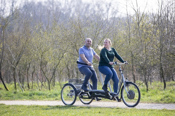 Two person pedal bike sale