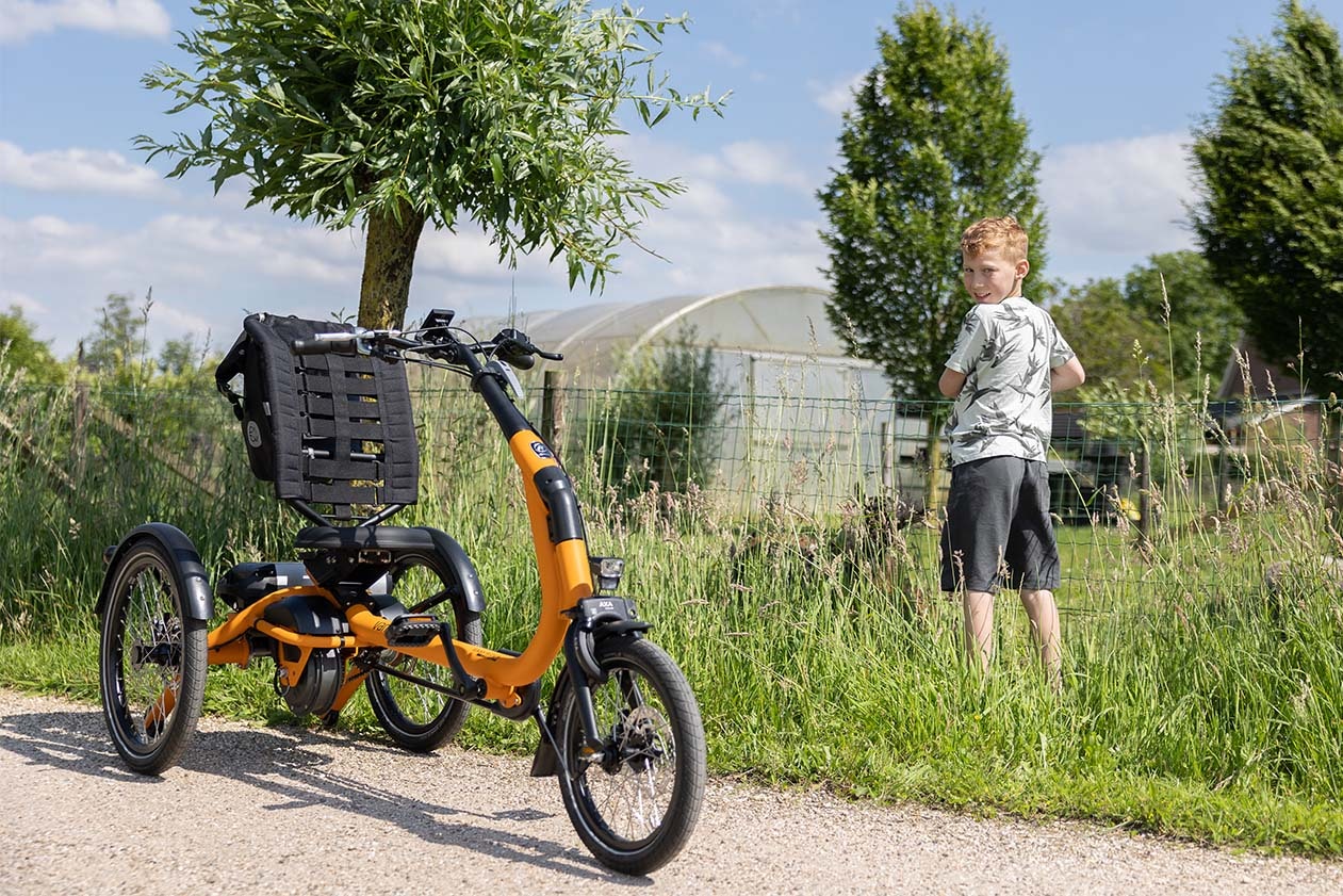 Tricyclé pour enfants Easy Rider Compact Small Van Raam