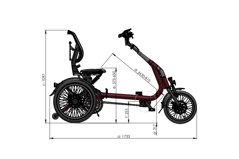 Measurements Van Raam Easy Rider Compact side