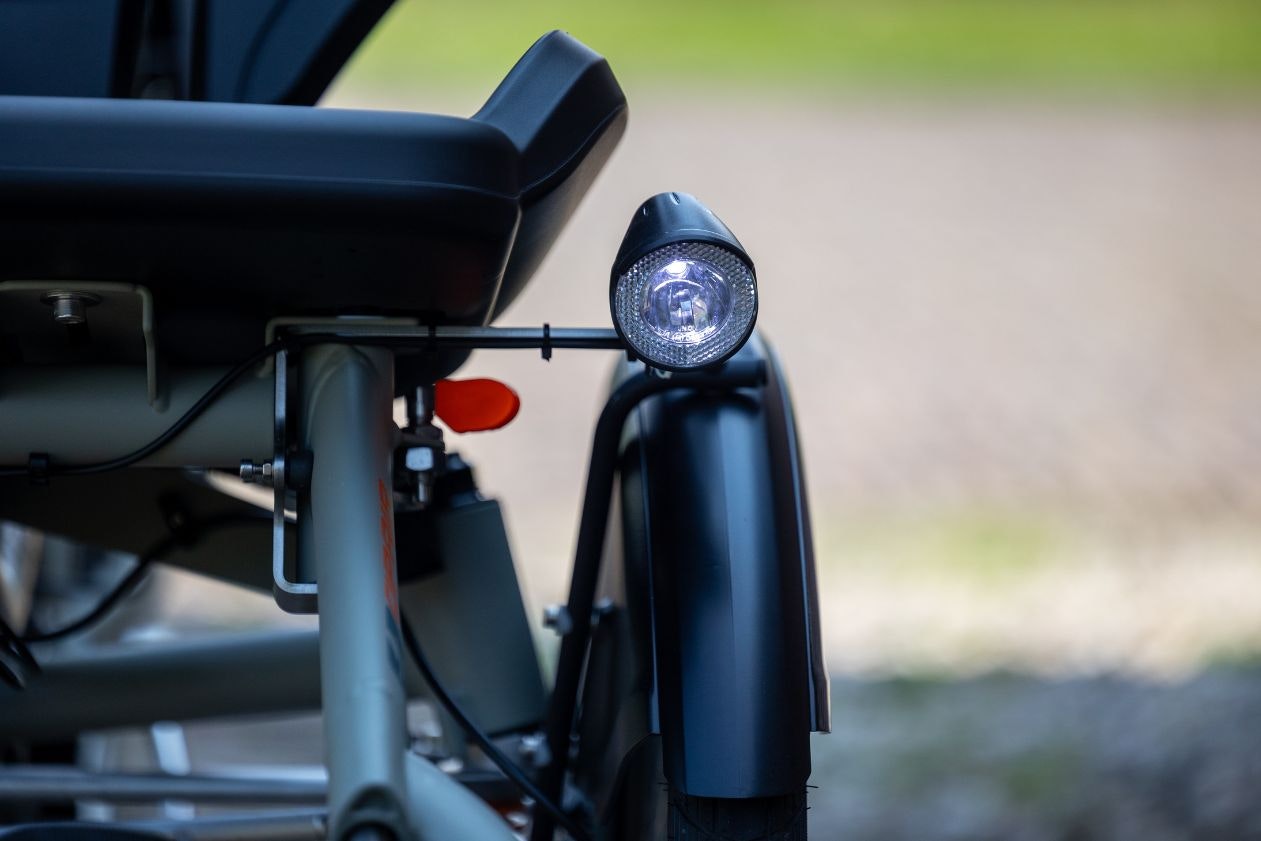 Lighting OPair Van Raam bike with wheelchair in front