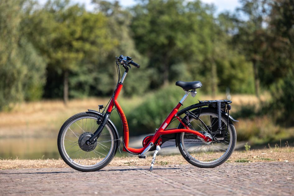 Ladies step through bike on sale