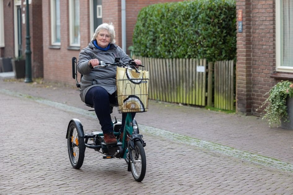 Easy Go Elektromobil Dreirad mit Ruckenunterstutzung Van Raam