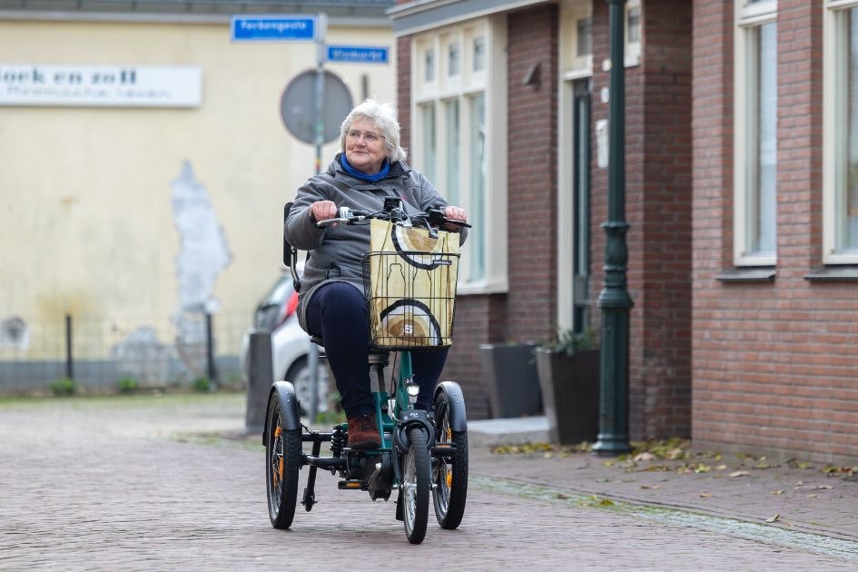 Easy Go Elektromobil Dreirad für altere frauen Van Raam