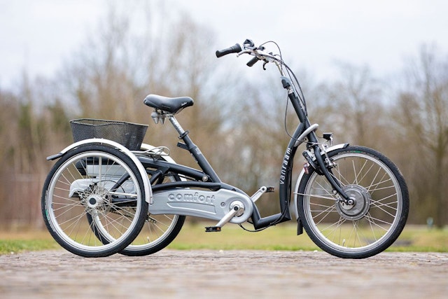 Kliniek terug Twee graden Lage instap driewieler Maxi Comfort | Van Raam