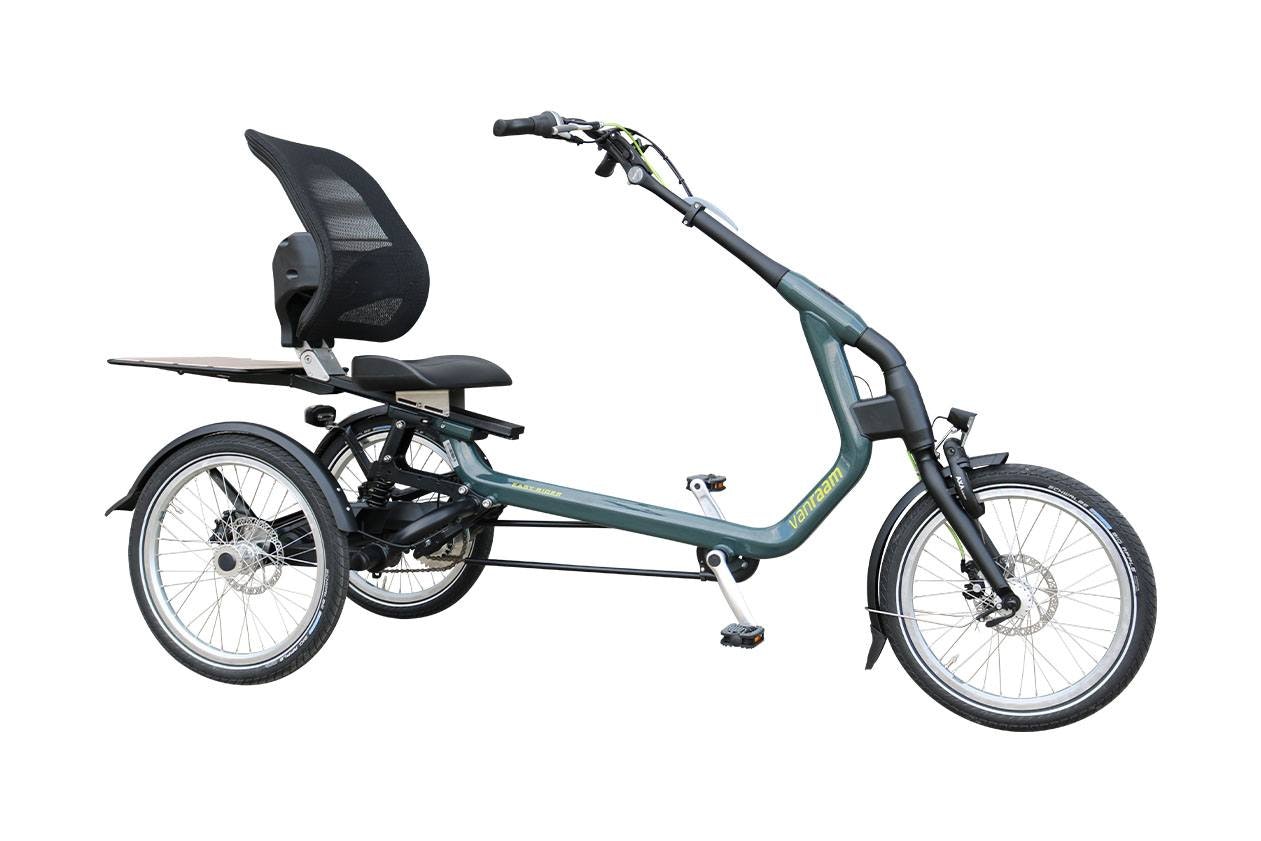 Jaar Slagschip baai Tricycle special for adults | Van Raam Tricycles | Van Raam