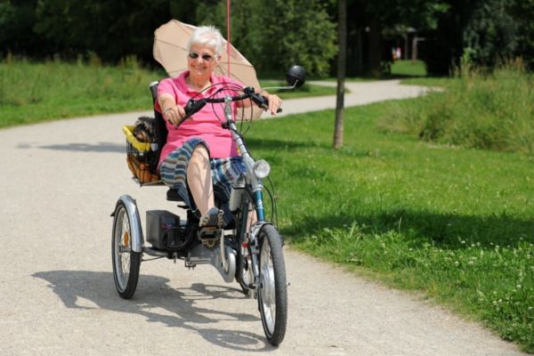 tricycle with back seat