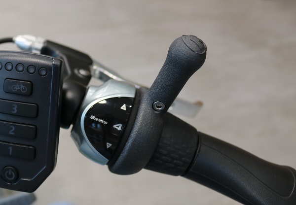 cycle gear lever