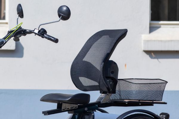 Laboratorium Electrificeren Vergadering Easy Rider driewielfiets met rugsteun | Van Raam