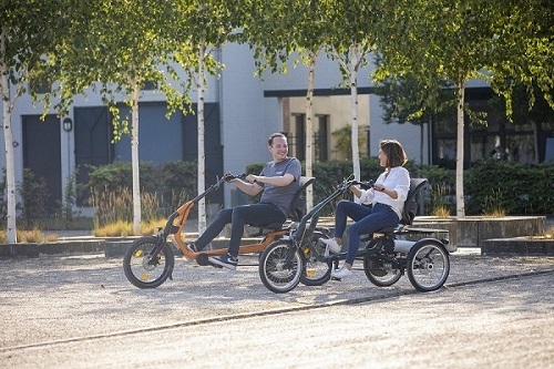 electric tricycle for disabled adults