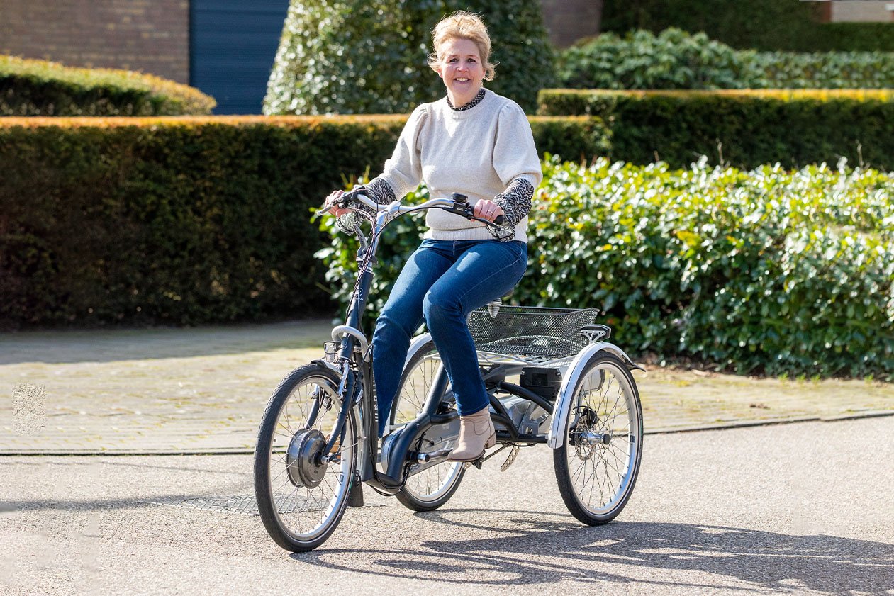 damenfahrrad mit tiefem einstieg und rücktrittbremse